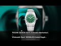 PAGANI DESIGN Men's Automatic Mechanical Wristwatch Sport 100MM AR Coated Sapphire Clock 40MM B