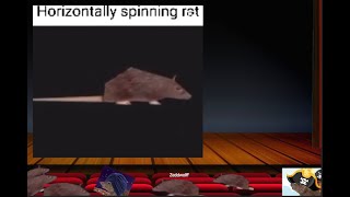 Rat Talent Show by Zeddwolff 545 views 1 year ago 1 minute, 7 seconds