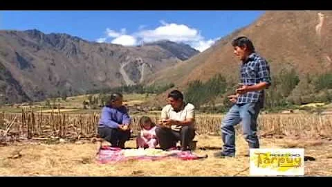 William del ande - Waqay yari awi