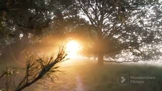 Download Lagu uBilal - Rehmatulillalamin by Maher Zain on Alan Walker's Faded Acoustic | Spiritual Fusion MP3