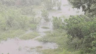 Amphan Cyclone Latest Update, Gopiballavpur Amphan, Jhargram, Kolkata