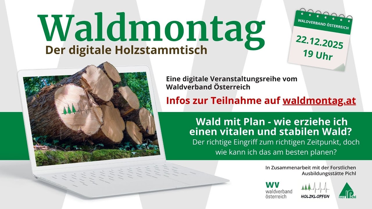 20251222 Wald mit Plan - Aber wie?