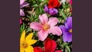 Tarigha Title of This Song Says It All