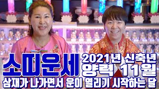 소띠운세 양력 11월 2021년 신축년 삼재가 나가면서 운이 열리기 시작하는 달 - 부천 용한 무당 점집 추천 후기 숙당아씨
