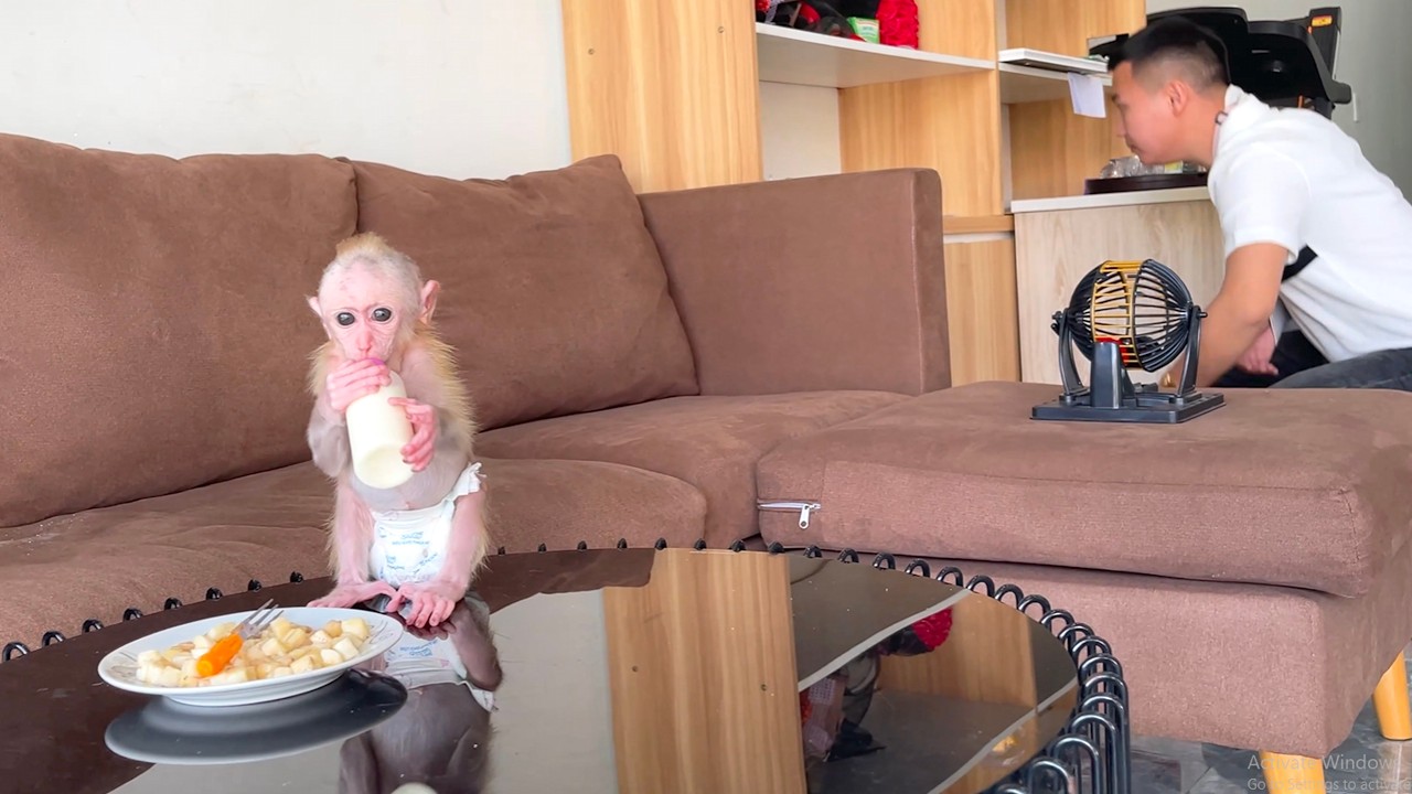 So Touching! CUBIS Takes Care of Himself While Dad Is Hurt