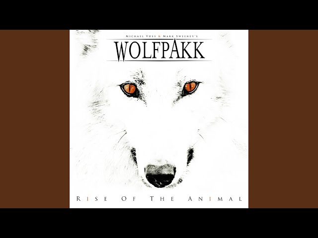 Wolfpakk - Black Wolf