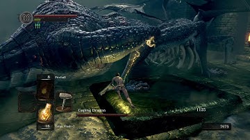 Gaping Dragon SL1 NG+6 No Rolling/Sprinting/Blocking/Parrying