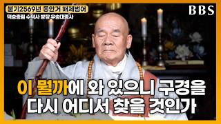 [불기2569년 동안거 해제법어] 수덕사 방장 우송대종사 '살판나는 신바람 밀밀회광이자간(密密廻光而自看) 하라'