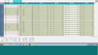 OptionVue Essentials with James Hogan January 10th 2013