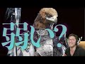 #211 早朝に2回だけやる(7150→)【エルデンリングナイトレインDLC】