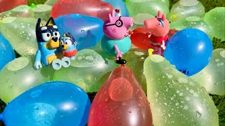 Baby Bluey - Water Balloon - Bluey toys Pretend play with Peppa Pig