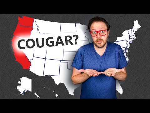 Guessing What These US West Coast Words Mean by Lost in the Pond