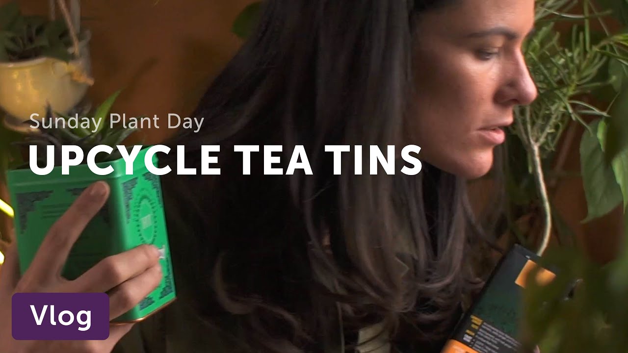 Succulent Tea Garden — Vlog 006