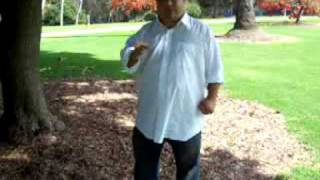 Universal Qigong: Tiger Claw