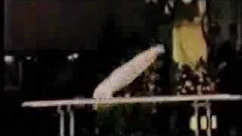 Parallel bars. Basket with 1/2 to support