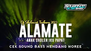 Dj Alamate Anak Sholeh Iku Papat Versi Slow Bass Horeg • Situbondo Slow Bass