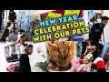 NEW YEAR CELEBRATION WITH OUR PETS - THE PAWS FAMILY