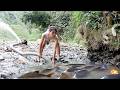 Dredge Fishing Nets: Wow! Amazing Fishing Trip to Catch Big Fish in the Field | Lý Tiểu Duyên