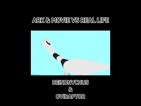 Deinonychus Oviraptor Jurassicworlddominion Arksurvivalevolved Animation Dinosaur Shorts 