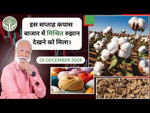 कपास बाज़ार की साप्ताहिक रिपोर्ट || Aaj ka kapas bazar || Weekly Cotton Market Update #smartinfo