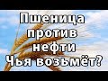 Россия - хлебная супердержава. Пшеница на экспорт.