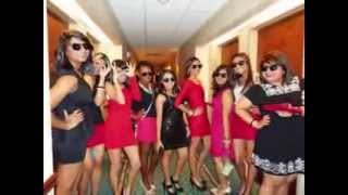 Delta Phi Omega | Theta Chapter Formal 2013 Slideshow