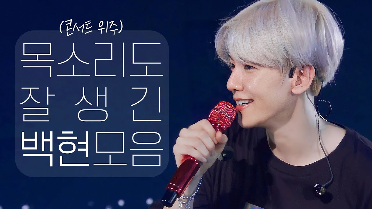 콘서트 속 잘생긴 백현이 목소리를 모아 모아 💾💗 | 고음질 remastering ver.