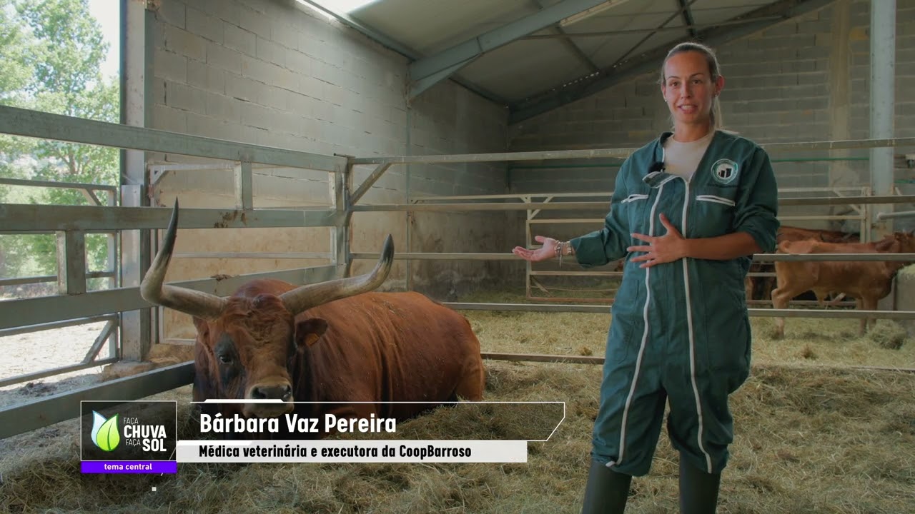 Reportagem Faça Chuva Faça Sol na região do Barroso