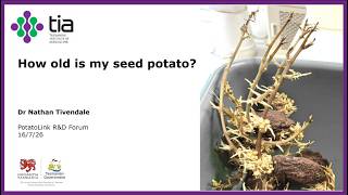 PotatoLink R&D forum 2026 - Dr Nathan Tivendale on Physiological Age of Potatoes
