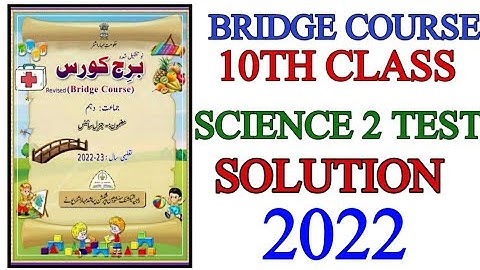 10th bridge course science 2 test 2022 Urdu medium | pre test bridge course science 2 2022 23 new
