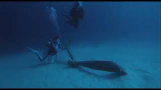 Scuba Woman Diver find Treasure Underwater