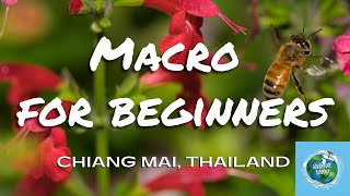 Macro Photography for Beginners [Royal Park Rajapruek, Chiang Mai, Thailand] screenshot 5