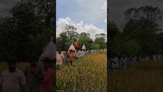 पालखी. दसरा. #song #dasra #youtubeshorts #shorts