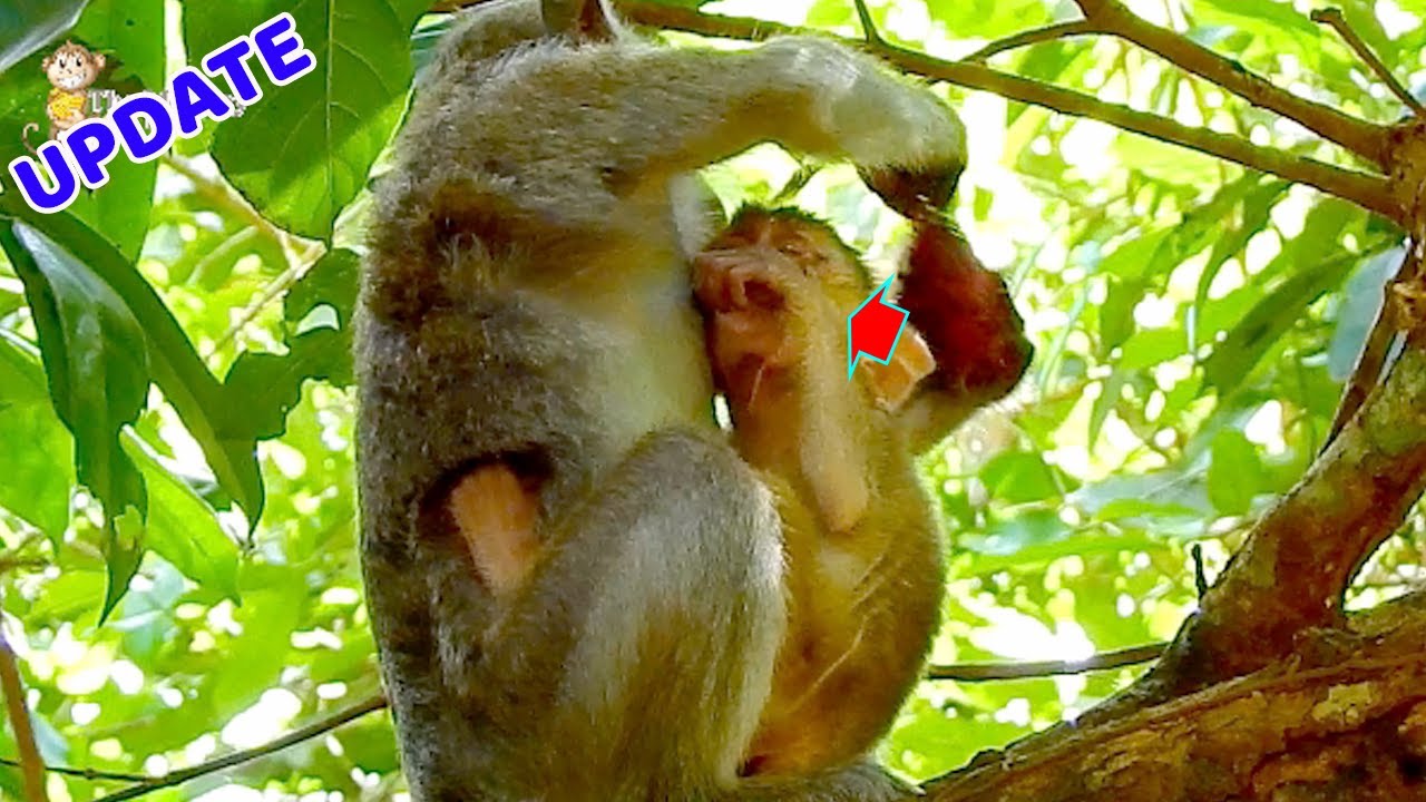 What wrong on baby Elpida raise hand up weep tear like this?, Look pity poor girl Elpida