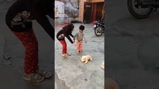 Dogi Kitne Pyare Pyare H Kidzania009