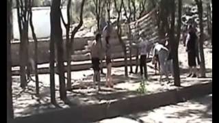 CAMPING EN CHEPES,LA RIOJA - AQUA LA CALERA