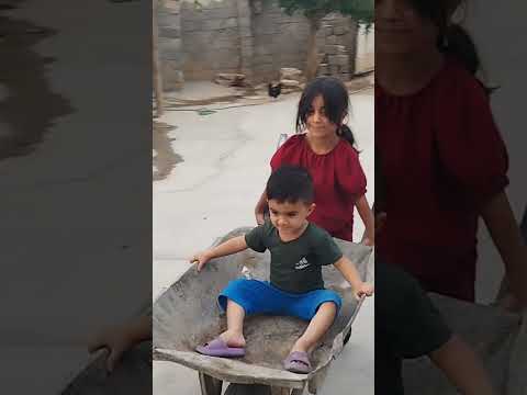 Wheelbarrow Fun Endless Joy 