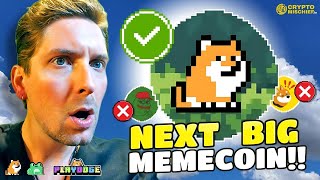 PLAY 2 EARN MEMECOIN: IS PLAYDOGE THE NEXT BIG CRYPTO GAME?