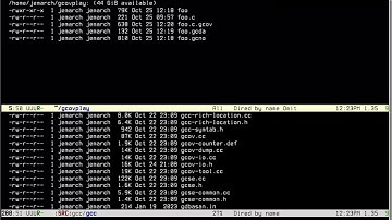 Writing GNU poke pickles: GCOV data files