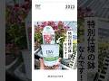 特別仕様の鉢 KEYGROWERS