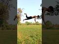 🇮🇳#army #armyjover#indianarmy #flipper #love #flip #teambackflip #backflip #stunt #dance #viralvideo