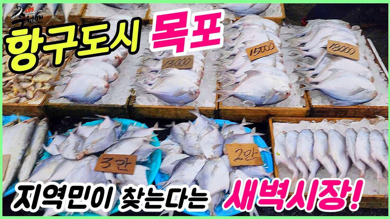 ☆목포는 항구다! 새벽에 열리는 오랜전통의 난전시장 (구)청호시장 모습과 시세정보! 북항수협위판장까지 구경하세요~
