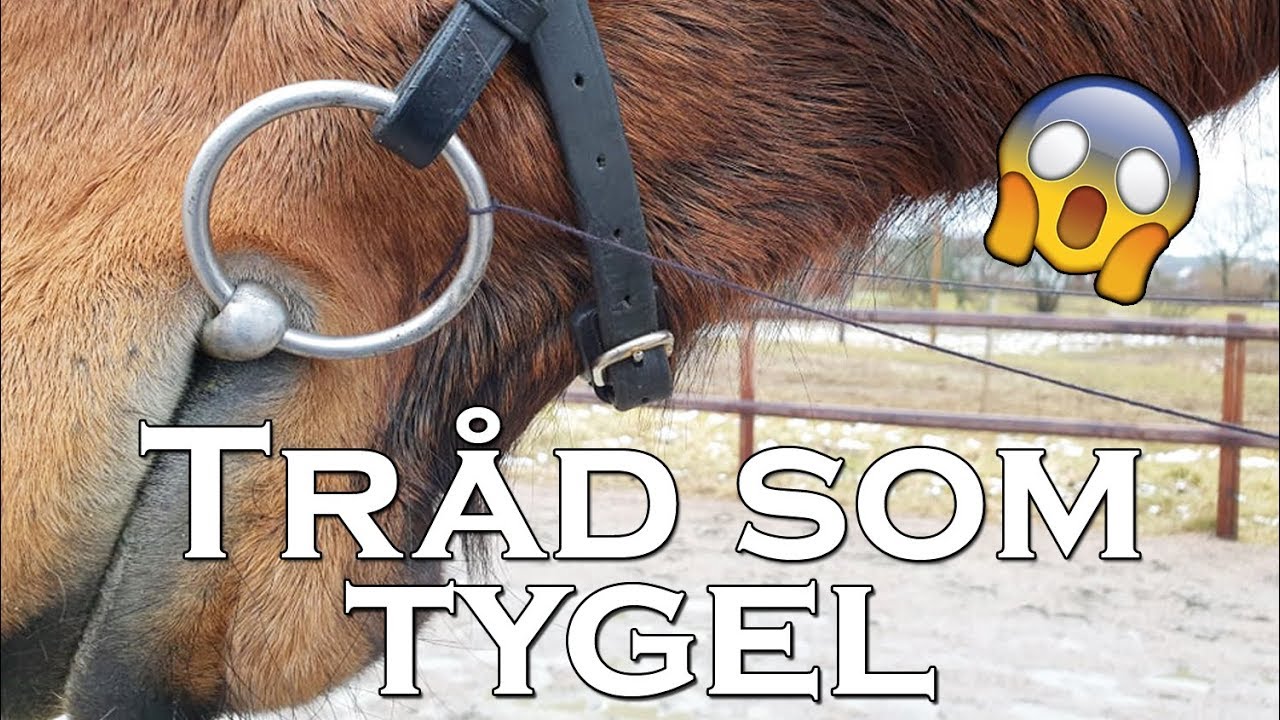 RIDER MED TRÅD ISTÄLLET FÖR TYGLAR - Challenge & stafett