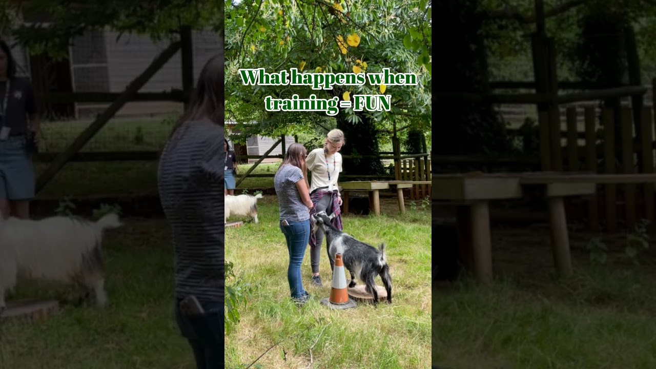 Bowser really is THE GOAT 