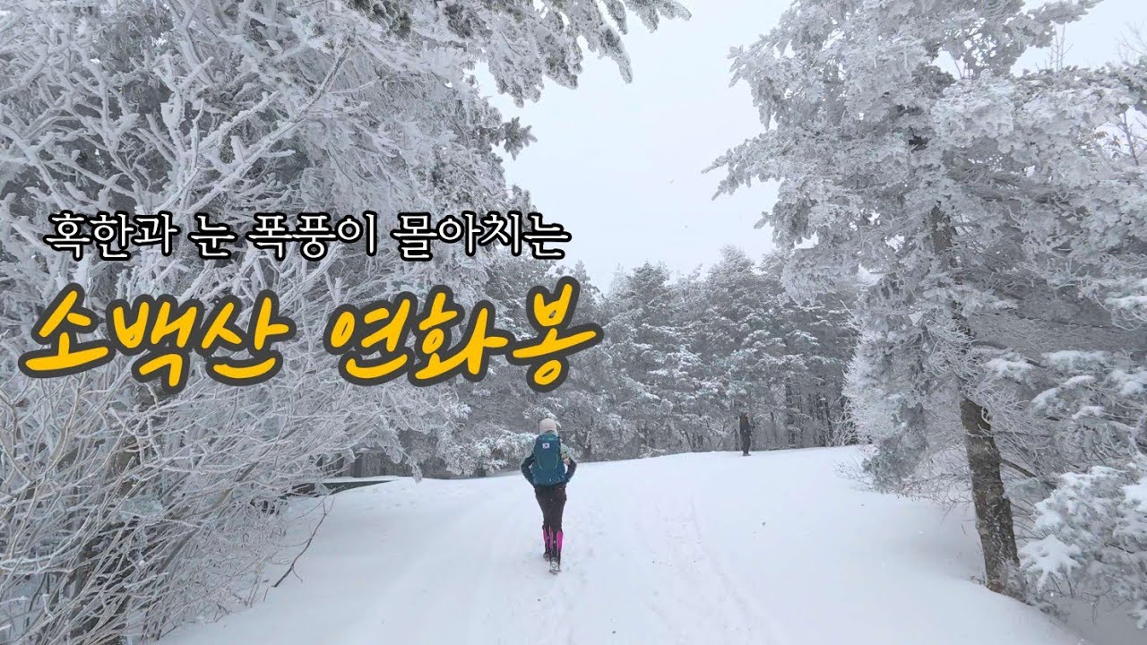 소백산 연화봉(혹한과 폭풍이 몰아치는 상황에도 천상의 풍경을 보다.)