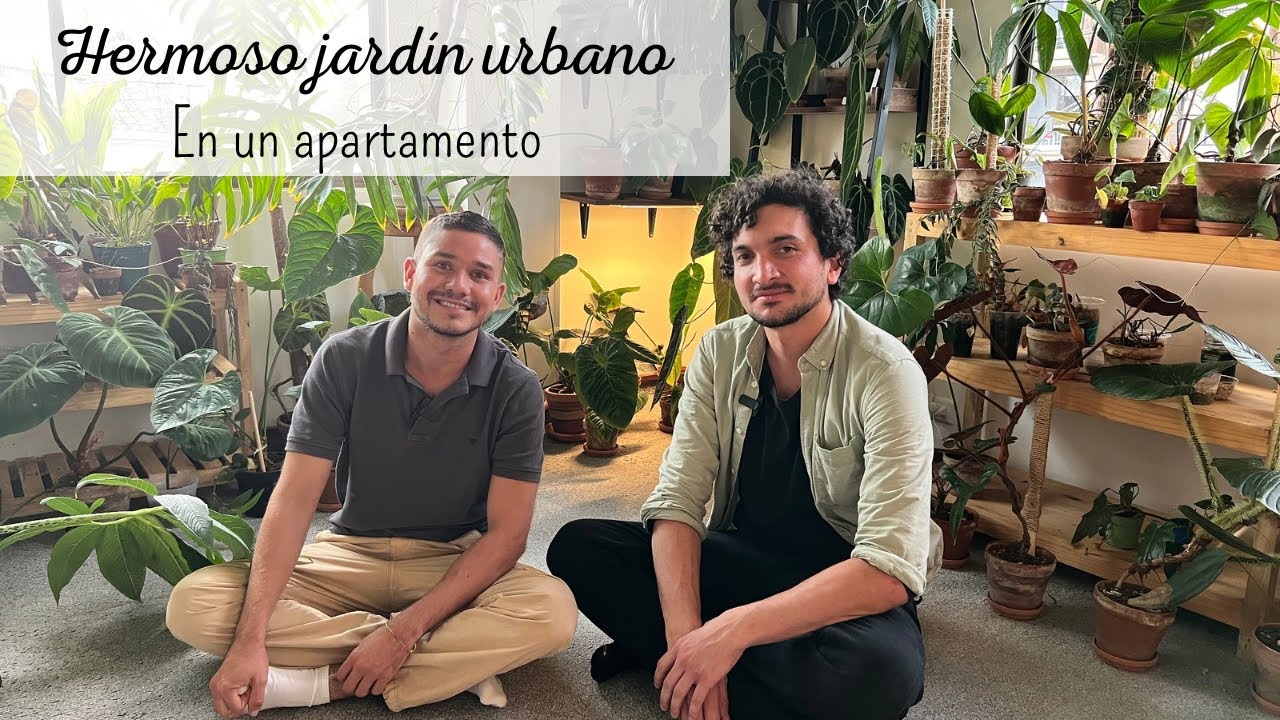Transformó su apartamento en una JUNGLA URBANA en plena ciudad  de BOGOTÁ