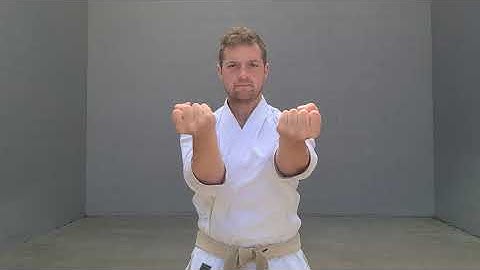 Karate Moves | MOROTE UKE - DOUBLE MIDDLE BLOCK