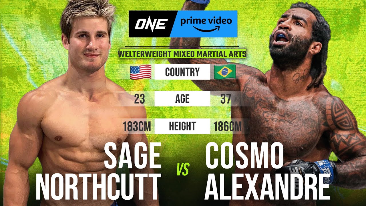 ONE-PUNCH KNOCKOUT 👊 Sage Northcutt vs
