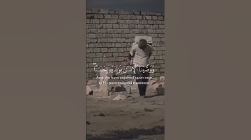 سوره الأحقاف - القارئ احمد خضر
