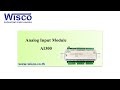 Wisco AI300: Analog Input Module